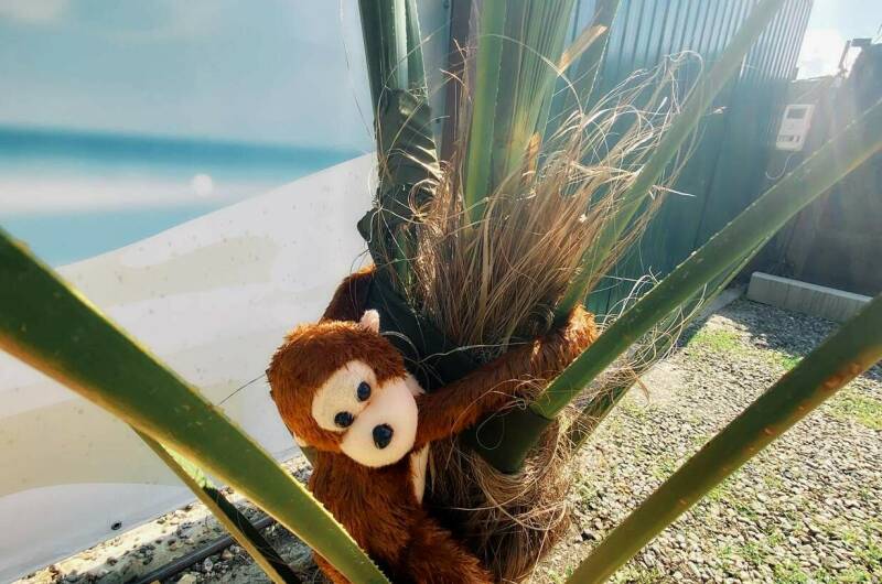 Изображение Изображение гостиницы &quot;Гостевой дом «Колибри»&quot; #4 #2