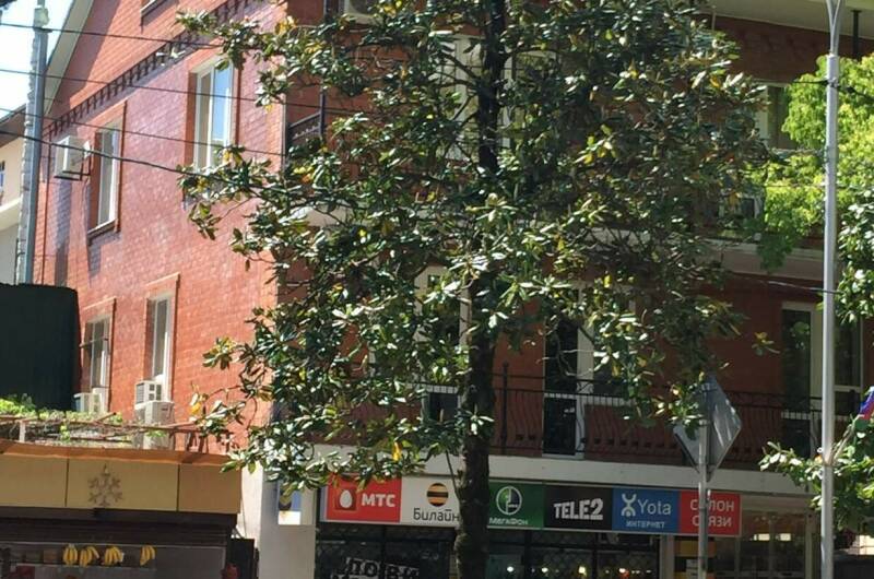 Изображение гостиницы "Частное домовладение «У Дарьи»" #1