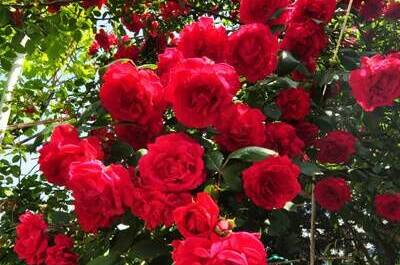 Изображение Изображение гостиницы &quot;Частный сектор «В гостях у Валентины»&quot; #3 #1