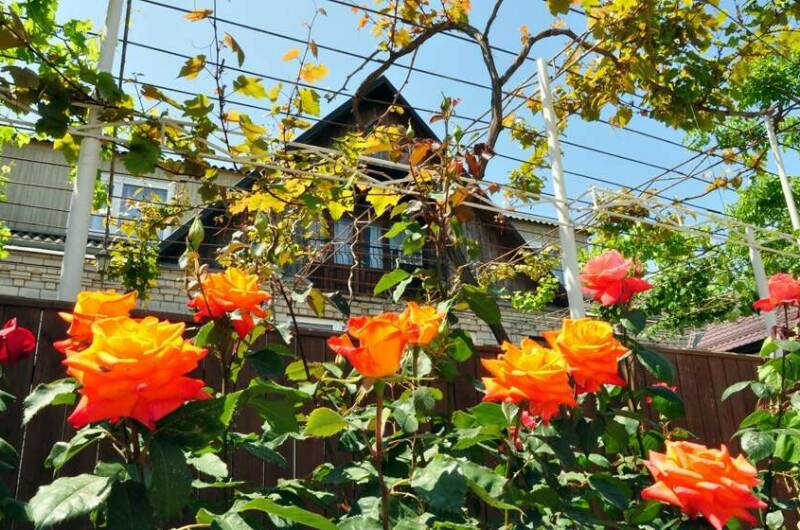 Изображение Изображение гостиницы &quot;Частный сектор «В гостях у Валентины»&quot; #5 #3