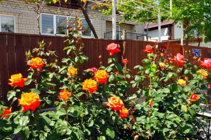 Изображение Изображение гостиницы &quot;Частный сектор «В гостях у Валентины»&quot; #7 #5