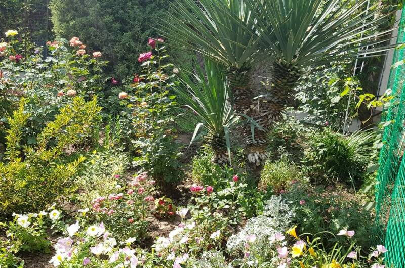 Изображение Изображение гостиницы &quot;Частный сектор «В гостях у Валентины»&quot; #9 #7