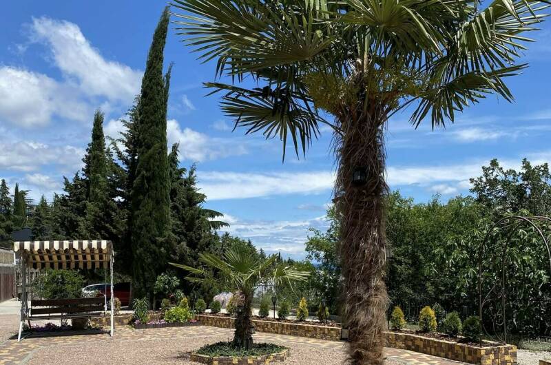 Изображение Изображение гостиницы &quot;Вилла «Мечта»&quot; #9 #7