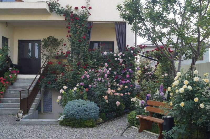 Изображение гостиницы "Частный дом «Жемчужина»" #1