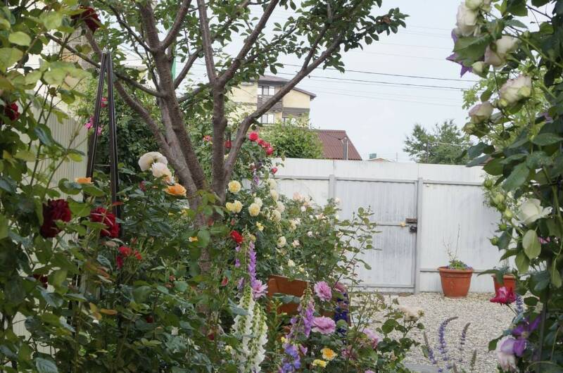 Изображение Изображение гостиницы &quot;Частный дом «Жемчужина»&quot; #6 #4