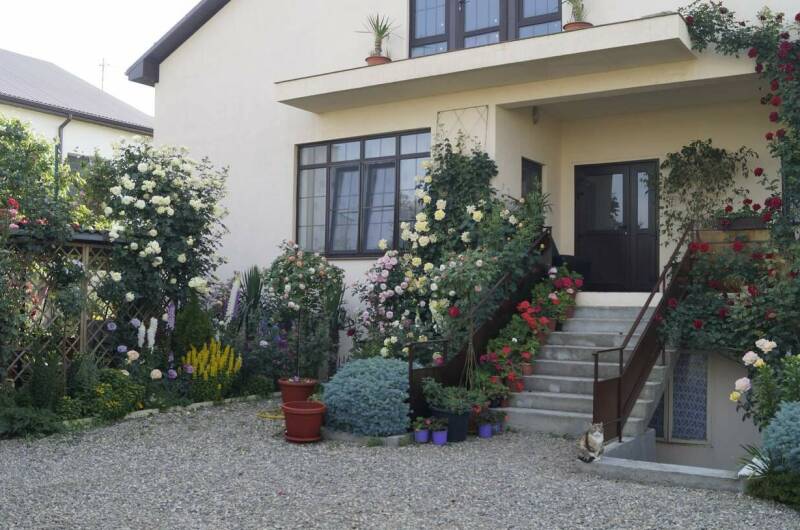 Изображение Изображение гостиницы &quot;Частный дом «Жемчужина»&quot; #7 #5