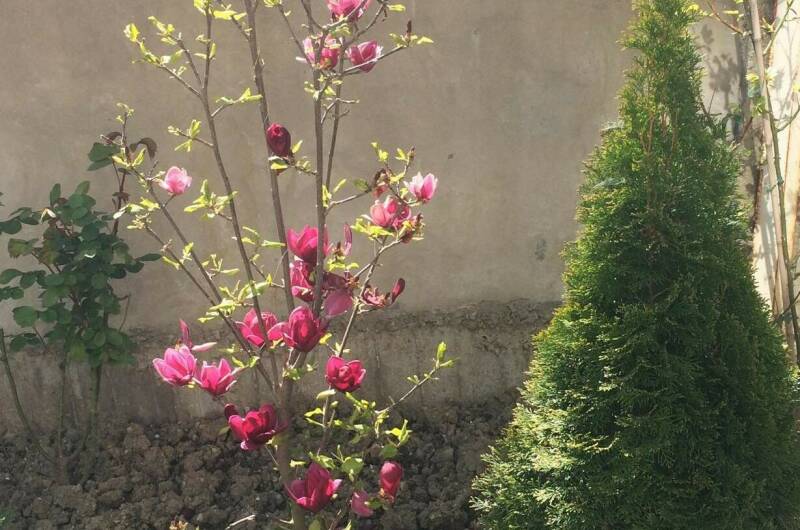 Изображение Изображение гостиницы &quot;Гостевой дом «У Орыси»&quot; #3 #1