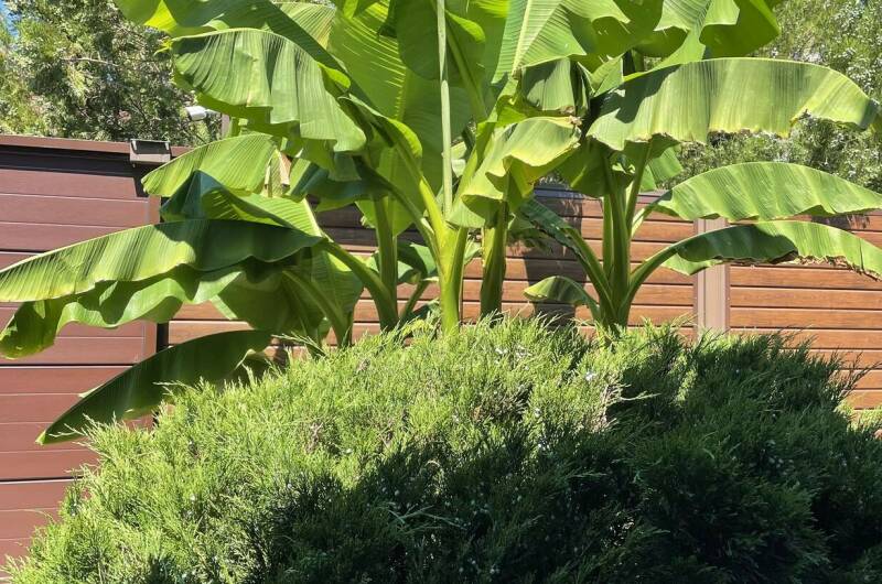 Изображение Изображение гостиницы &quot;Гостевой дом «Фем Ландия» (Guest House Fem Landia)&quot; #3 #1