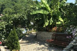 Изображение отеля / гостиницы "Гостевой дом «Оазис»"