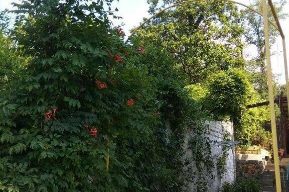 Изображение Изображение гостиницы &quot;Гостевой дом «Элефант»&quot; #3 #1