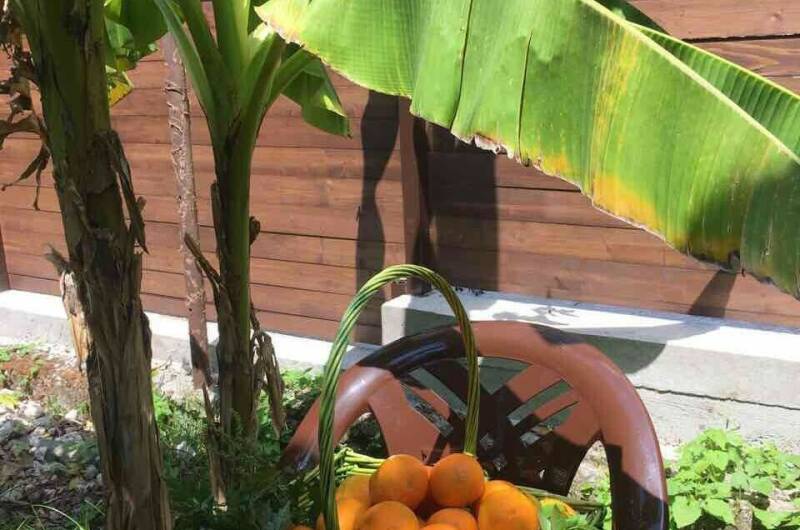 Изображение Изображение гостиницы &quot;Гостевой дом «SoFitel-GagrA»&quot; #11 #9