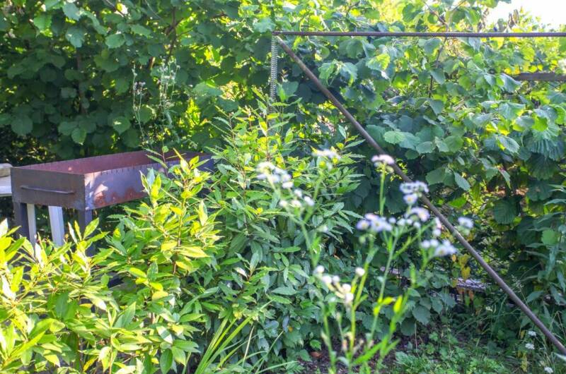 Изображение Изображение гостиницы &quot;Гостевой дом «Светлана»&quot; #5 #3