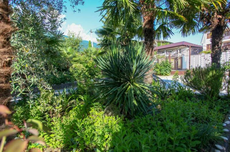 Изображение Изображение гостиницы &quot;Гостевой дом «Светлана»&quot; #6 #4