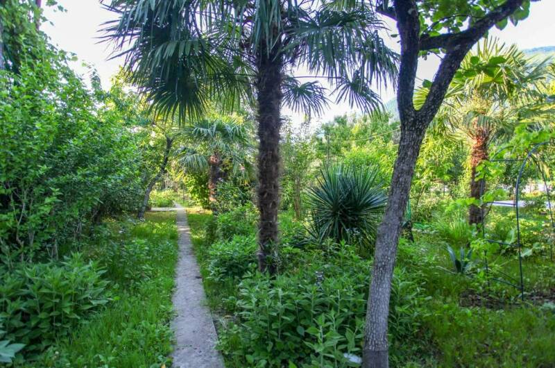 Изображение Изображение гостиницы &quot;Гостевой дом «Светлана»&quot; #7 #5