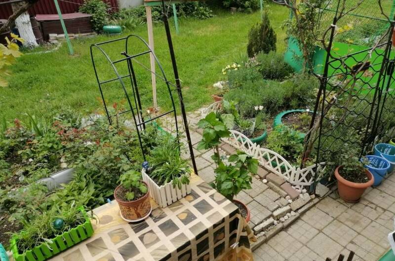 Изображение Изображение квартиры &quot;2-х комнатная квартира «В гостях у Ларисы»&quot; #6 #4