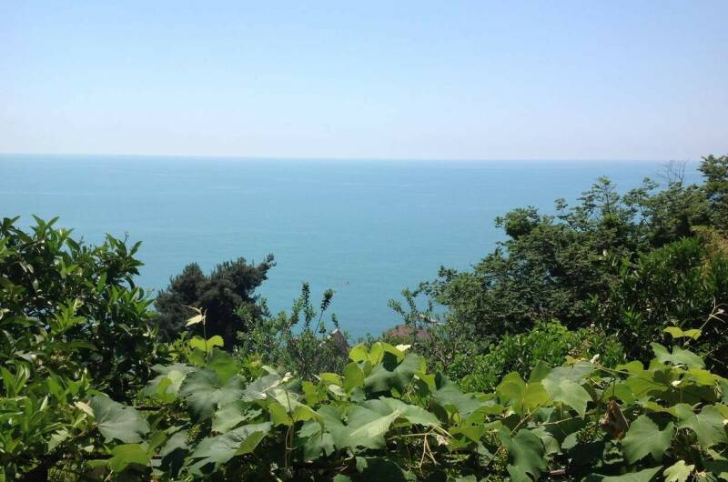 Изображение Изображение гостиницы &quot;Гостевой дом «Рай у моря»&quot; #4 #2