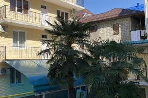 Изображение отеля / гостиницы "Гостевой дом «Санар»"