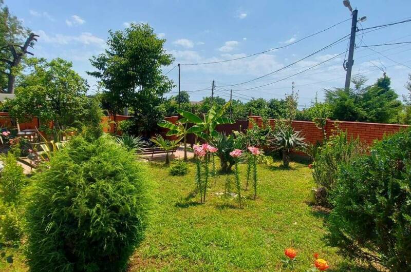 Изображение Изображение гостиницы &quot;Гостевой дом «Золотая рыбка»&quot; #6 #4