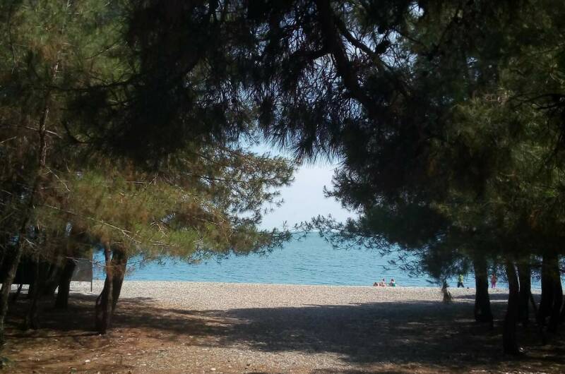 Изображение Изображение гостиницы &quot;Гостевой дом «Золотая рыбка»&quot; #7 #5