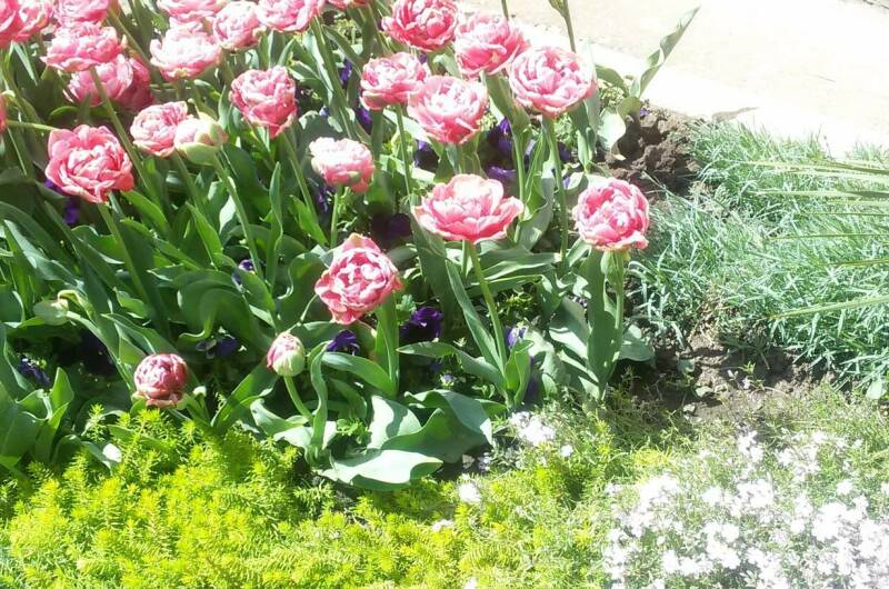 Изображение Изображение квартиры &quot;Комната в частном доме «Надежда»&quot; #5 #3