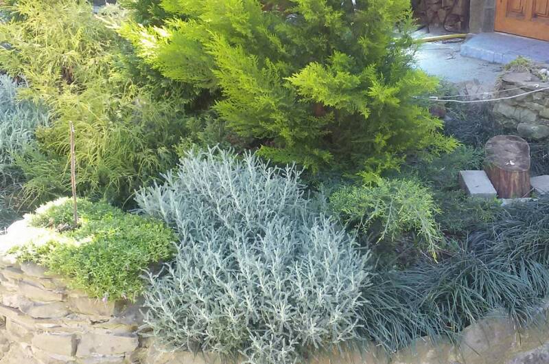 Изображение Изображение квартиры &quot;Комната в частном доме «Надежда»&quot; #7 #5