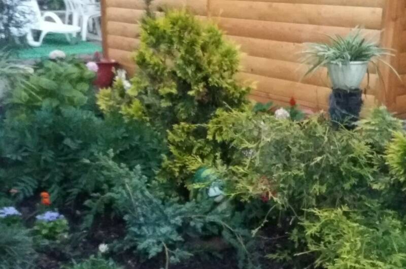 Изображение Изображение квартиры &quot;Комната в частном доме «Надежда»&quot; #11 #9