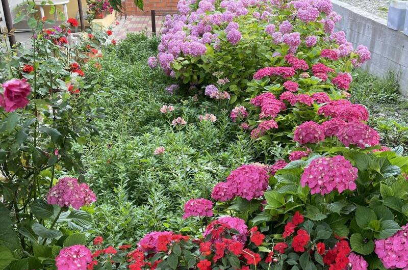 Изображение Изображение гостиницы &quot;Гостевой дом на Тихорецкой&quot; #3 #1