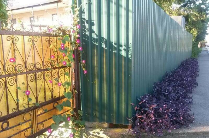 Изображение Изображение гостиницы &quot;Гостевой дом «Танида»&quot; #11 #9