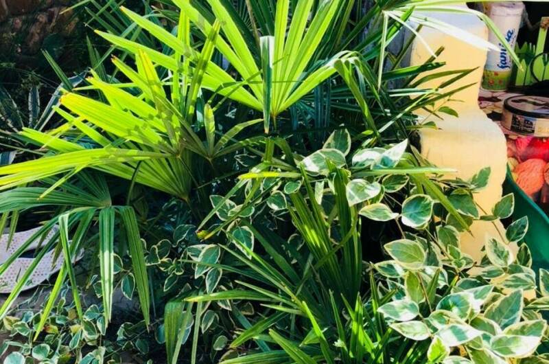 Изображение Изображение гостиницы &quot;Частный дом «Лето 15»&quot; #11 #9