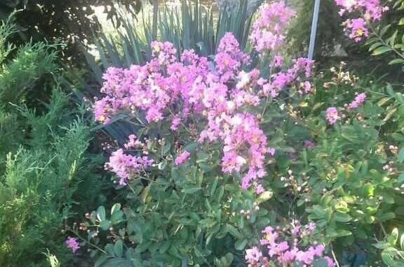 Изображение Изображение гостиницы &quot;Усадьба «Лукоморье»&quot; #4 #2