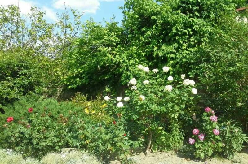 Изображение Изображение гостиницы &quot;Усадьба «Лукоморье»&quot; #6 #4