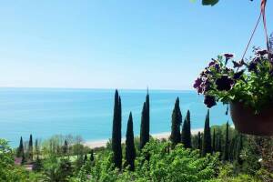 Изображение отеля / гостиницы "Частный сектор «У Ирины»"