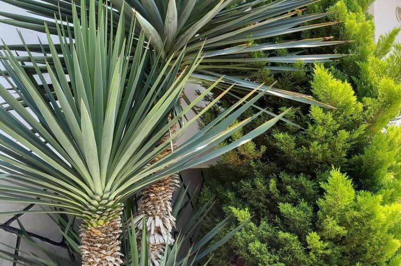 Изображение Изображение гостиницы &quot;Гостевой дом «Гаро»&quot; #11 #9