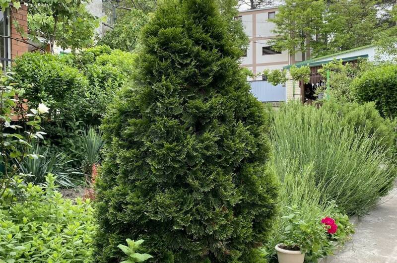 Изображение Изображение гостиницы &quot;Гостевой дом «Надежда»&quot; #11 #9