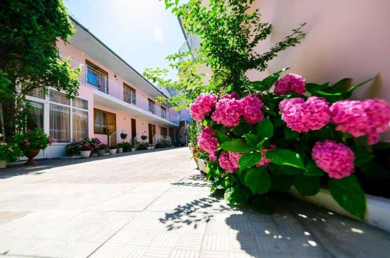 Изображение Изображение гостиницы &quot;Гостевой дом «Мишель»&quot; #8 #6