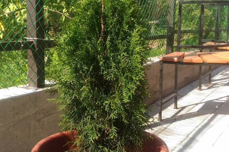 Изображение Изображение гостиницы &quot;Гостевой дом «На берегу моря»&quot; #6 #4