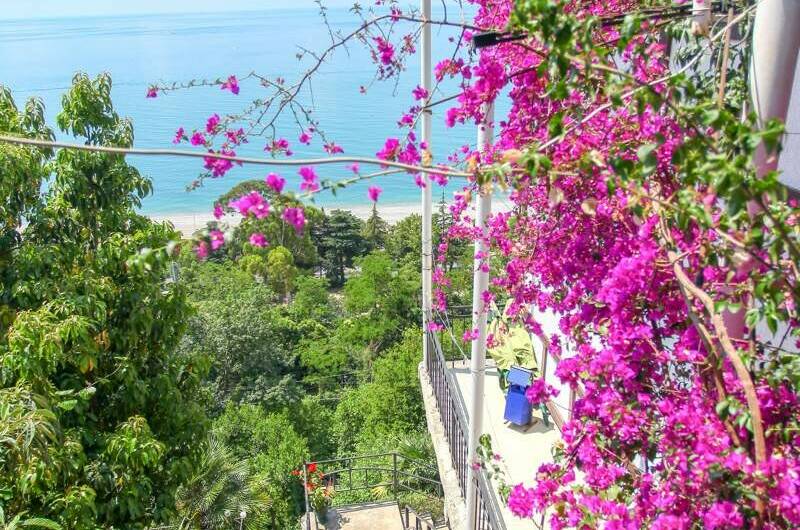 Изображение Изображение гостиницы &quot;Мини-гостиница «Дача художников»&quot; #7 #5