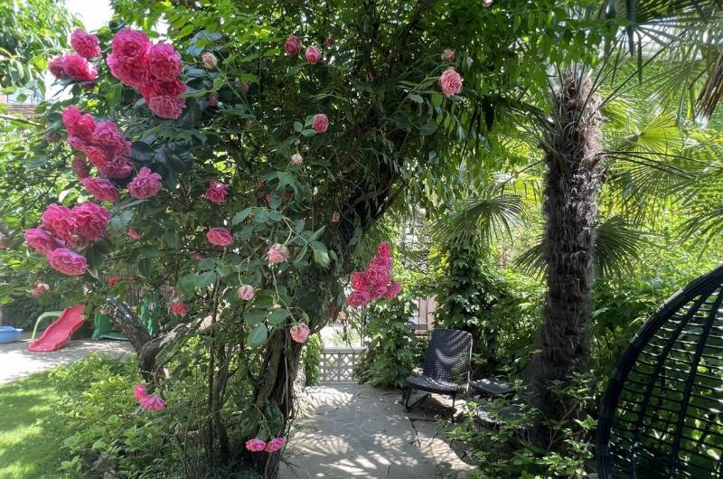 Изображение Изображение гостиницы &quot;Вилла «Гармония»&quot; #5 #3