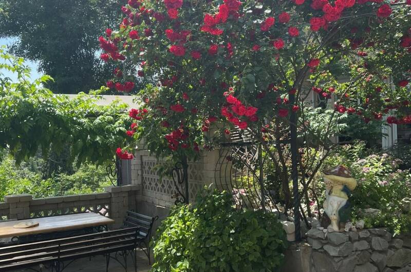 Изображение Изображение гостиницы &quot;Вилла «Гармония»&quot; #7 #5