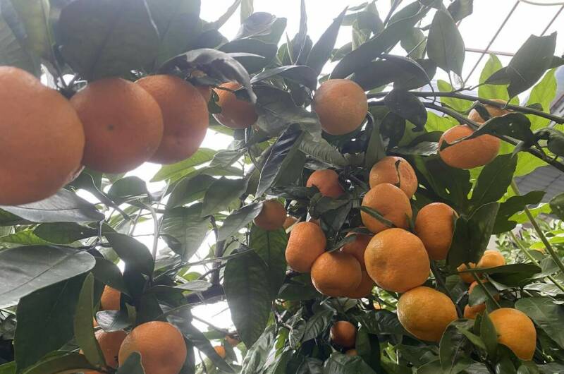 Изображение Изображение гостиницы &quot;Гостевой дом у моря&quot; #8 #6