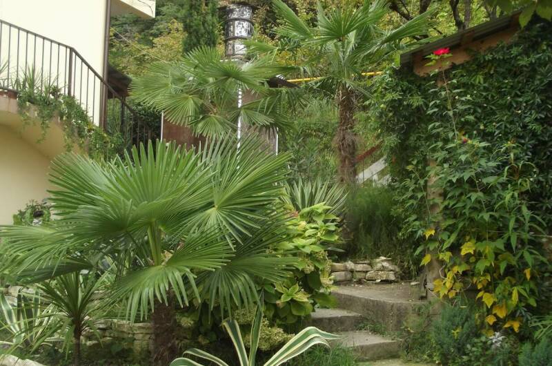 Изображение Изображение гостиницы &quot;Гостевой дом «У Ильгиза»&quot; #6 #4