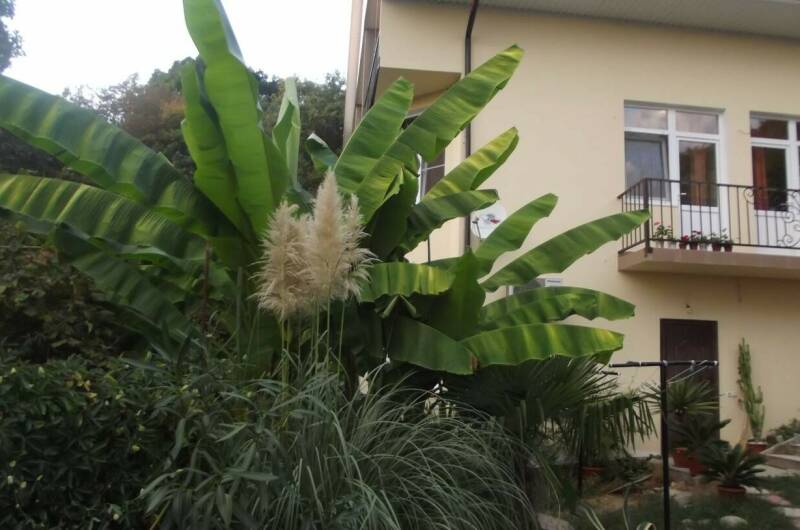 Изображение Изображение гостиницы &quot;Гостевой дом «У Ильгиза»&quot; #10 #8