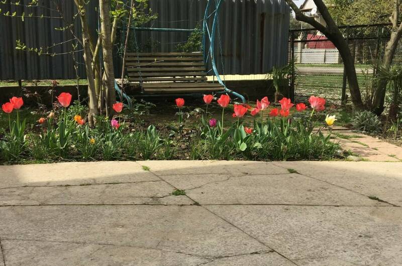 Изображение Изображение гостиницы &quot;Гостевой дом «У Лизы»&quot; #4 #2