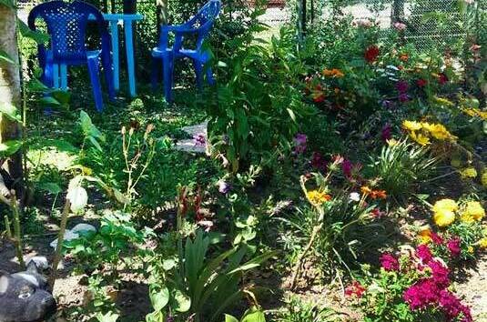 Изображение Изображение гостиницы &quot;Гостевой дом «У Лизы»&quot; #5 #3