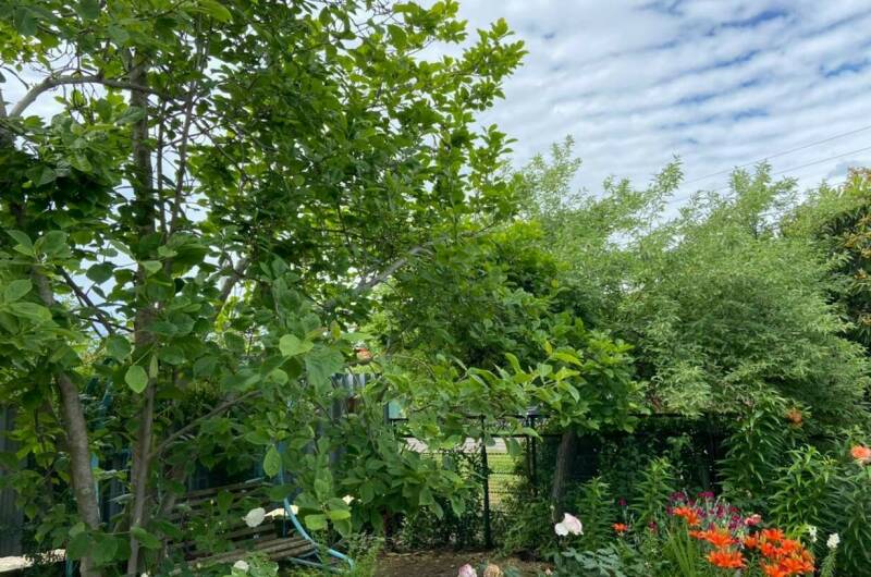 Изображение Изображение гостиницы &quot;Гостевой дом «У Лизы»&quot; #7 #5