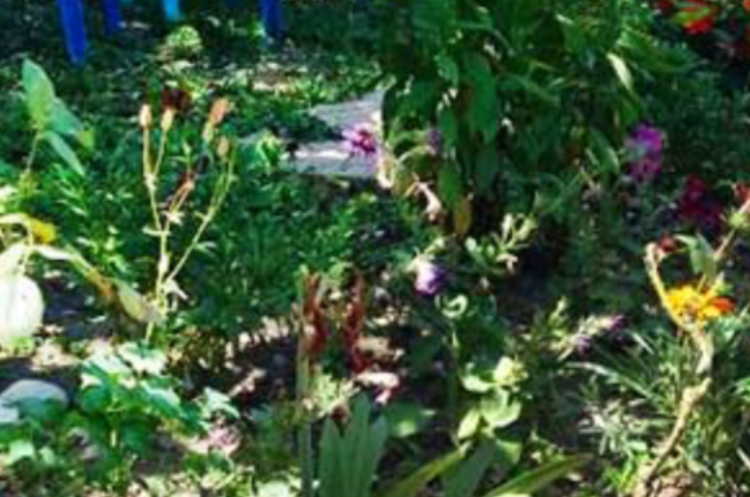 Изображение Изображение гостиницы &quot;Гостевой дом «У Лизы»&quot; #8 #6