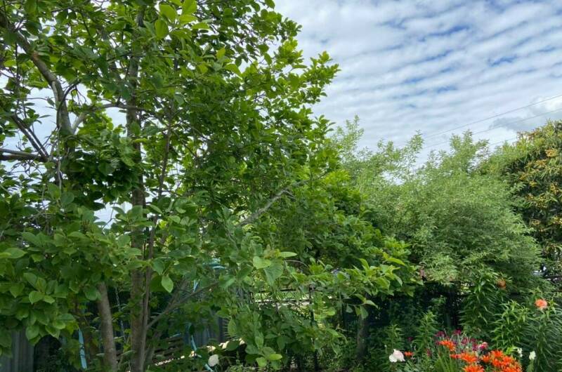 Изображение Изображение гостиницы &quot;Гостевой дом «У Лизы»&quot; #9 #7