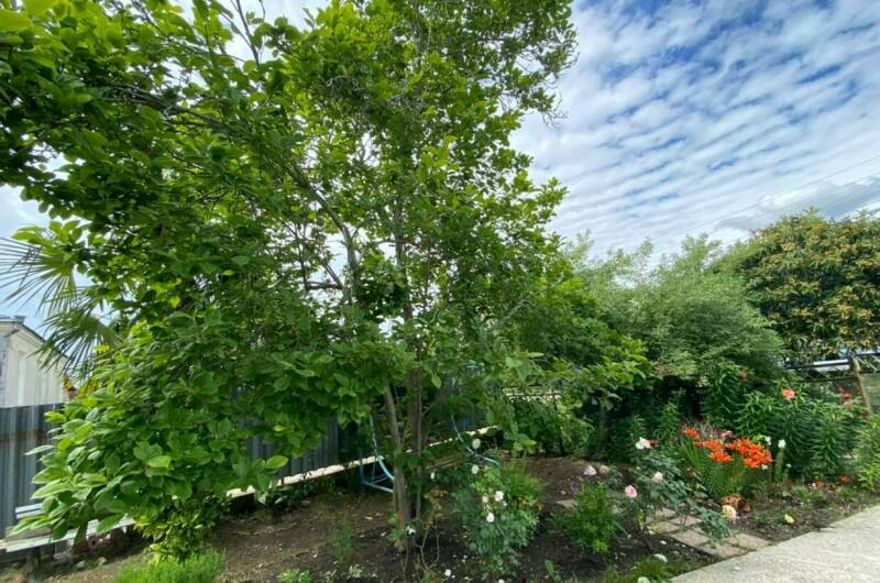 Изображение Изображение гостиницы &quot;Гостевой дом «У Лизы»&quot; #10 #8