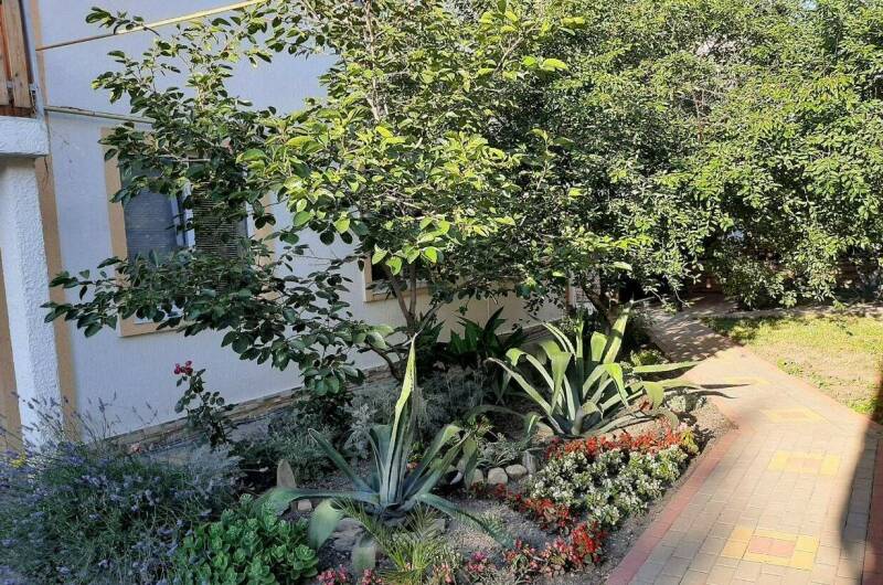 Изображение Изображение гостиницы &quot;Частный сектор «Тонкий мыс»&quot; #5 #3