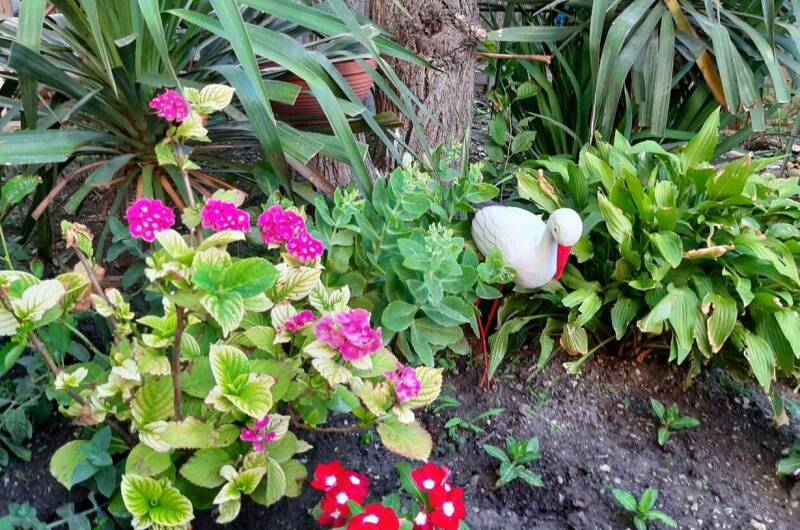 Изображение Изображение гостиницы &quot;Частный сектор «Тонкий мыс»&quot; #9 #7